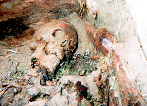 Останки «уруса»...