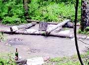 МЕСТО ПРЕДСМЕРТНОГО ПИКНИКА: здесь муж и жена пили вино, закусывая клубникой перед повешением