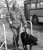 ЗАНЯТИЯ: верной дорогой ведет поводырь