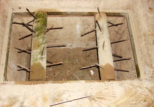 Выжить в такой ловушке практически невозможно. Фото: wikimedia.org