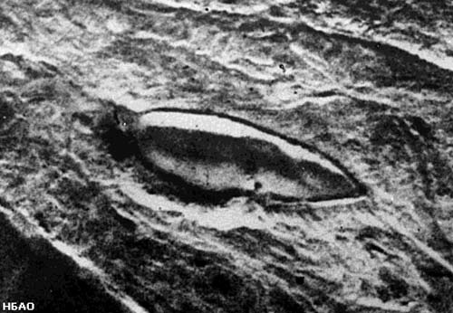 Фото, сделанное турецким летчиком в 1957 году. wikipedia.org