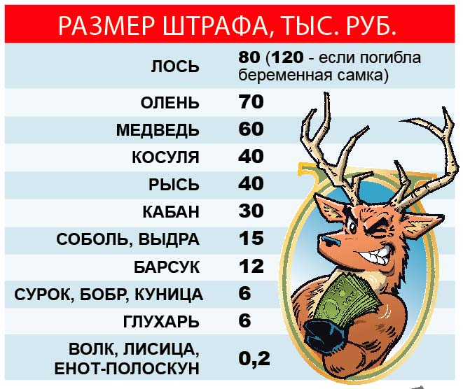 «Размер