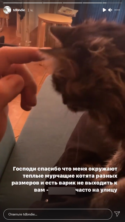 «Денис