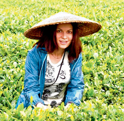 Чайные плантации...