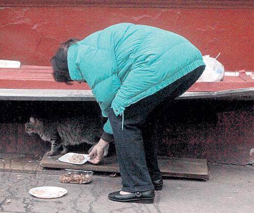 Кот Васька приходил на обед по расписанию