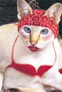 НАКРАШЕННАЯ ДАМОЧКА: к мартовской гулянке готова!