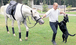 Чаще всего Путину дарили чистокровных скакунов