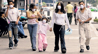 Жители Латинской Америки, защищаясь от свиного гриппа, ходят по улицам в масках. О подобной защите рекомендовано позаботиться и Агнии ДИТКОВСКИТЕ